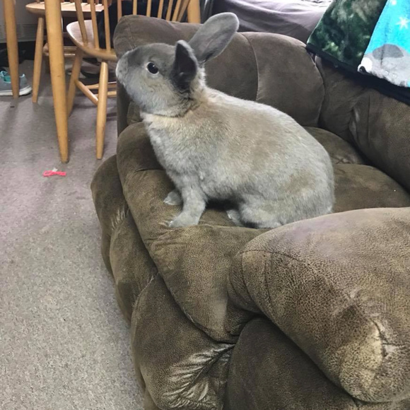 About me! - Picture 3 of 8